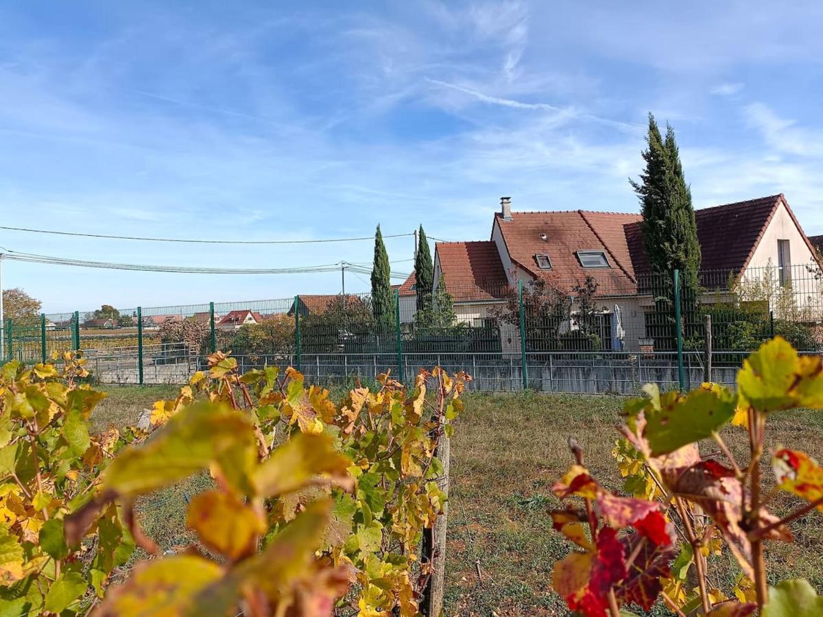 Villa Des Climats Bourgogne Marsannay-la-Côte Exterior foto